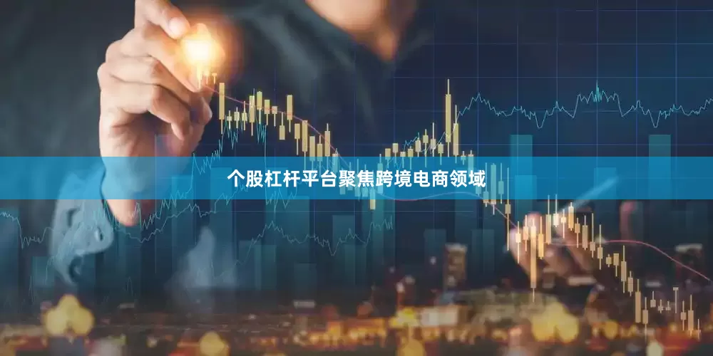 个股杠杆平台聚焦跨境电商领域