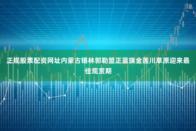 正规股票配资网址内蒙古锡林郭勒盟正蓝旗金莲川草原迎来最佳观赏期