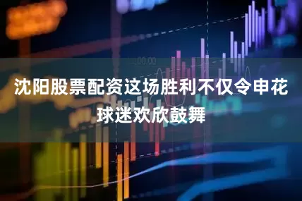 沈阳股票配资这场胜利不仅令申花球迷欢欣鼓舞